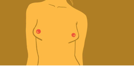 Cones and bells or various shapes of women's breasts 